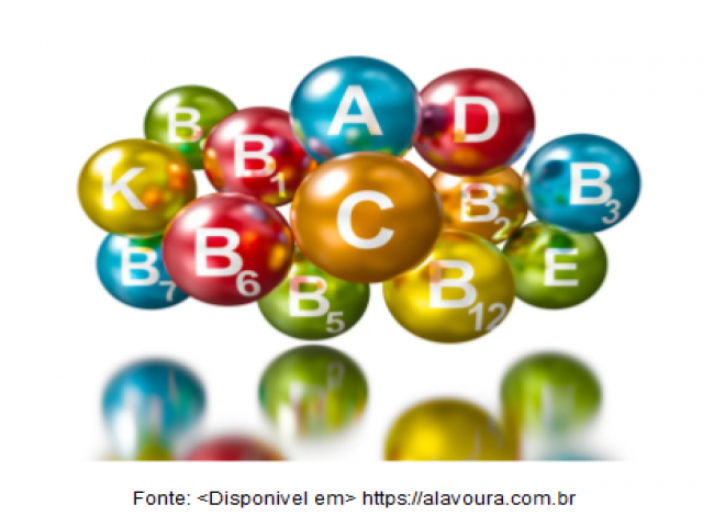 A Importância das Vitaminas na Nutrição de Camarões: Um Pilar para o Crescimento e a Sustentabilidade