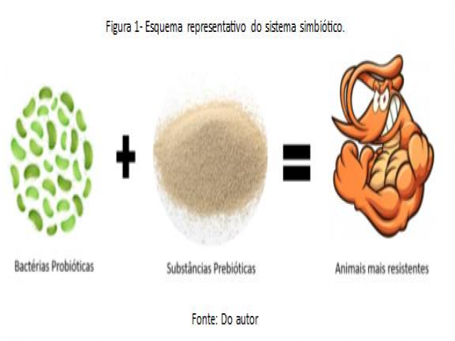 Probióticos no Sistema Simbiótico: Inovação Sustentável no Cultivo de Camarões e Tilápias