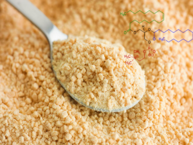 Lecitina de Soja: Um Ingrediente-Chave para a Saúde e o Desempenho de Camarões e Peixes 